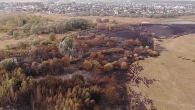 Беспилотник заснял последствия крупного пожара под Воронежем
