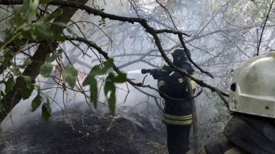 В Ростовской области локализовали пожар площадью 347 га