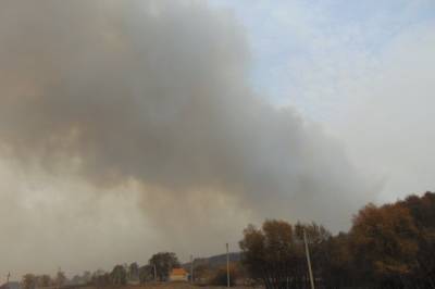 Для жителей Луганской области, потерявших дома из-за масштабных пожаров, нашли временное пристанище