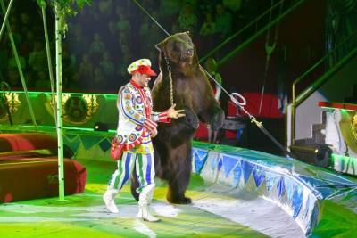 Детский омбудсмен Подмосковья предлагает запретить использования животных в цирках