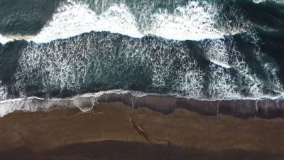 Нефтепродукты в Тихом океане: что известно о загрязнении воды у побережья Камчатки