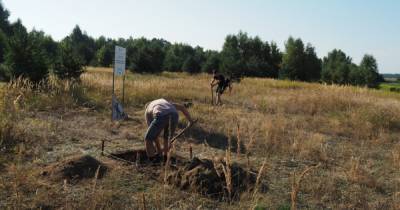 Калининградские археологи нашли в Гурьевском районе следы жизни людей бронзового века
