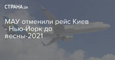 МАУ отменили рейс Киев - Нью-Йорк до весны-2021