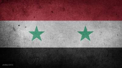 Анализ ОЗХО не подтвердил применение химоружия в инцидентах в Сирии