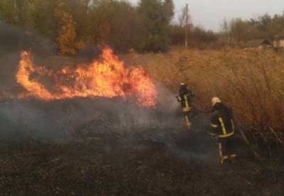 Пожары в Луганской области: полиция назвала число жертв и пропавших без вести