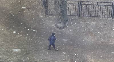 Белый день: когда в Ярославле выпадет снег, сказали синоптики