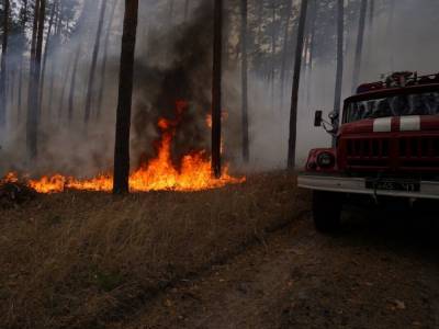 Из-за пожаров в Луганской области эвакуируют еще одно село