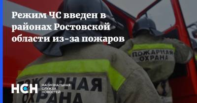 Режим ЧС введен в районах Ростовской области из-за пожаров