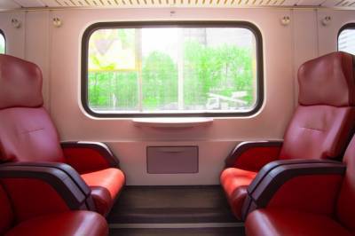 Голые украинки устроили дебош в поезде, ехавшем в Киев