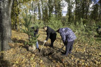 Тульские росгвардейцы высадили 50 деревьев в честь погибших на войне