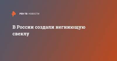 В России создали негниющую свеклу