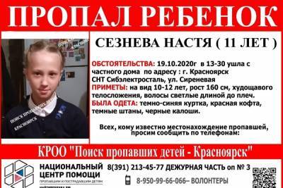 В Красноярске на дачах пропала 11-летняя девочка
