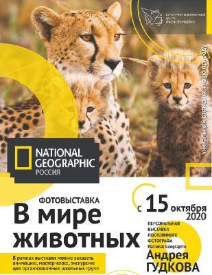 "Какой длины шея жирафа?" Смоляне побывают "В мире животных" - rabochy-put.ru