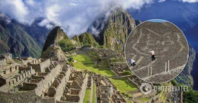 В Перу нашли геоглиф кота возрастом более двух тысяч лет