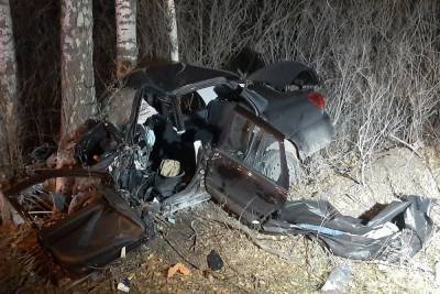 Женщина-водитель Datsun погибла от столкновения с деревом в Екатеринбурге