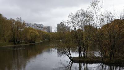 В Москве 20 октября ожидается до +5 °С