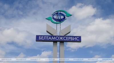 Более 230 млн т грузов прошло через терминалы Минского филиала "Белтаможсервиса" за 20 лет