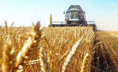 Урожай-2020: Цены на зерно ставят рекорды, а россияне боятся остаться без хлеба