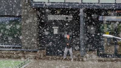 Петербургу предсказали "дождеснег" и похолодание ниже нормы