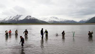 Землетрясение магнитудой 5,6 произошло у берегов Аляски