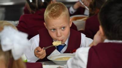 Более двух тысяч школ в РФ не имеют условий для организации горячего питания