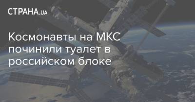 Космонавты на МКС починили туалет в российском блоке