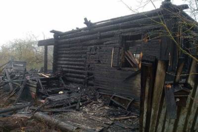 Житель деревни под Тверью успел выпрыгнуть в окно из горящего дома