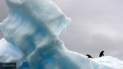 Российским ученым удалось "заглянуть" подо льды Антарктиды