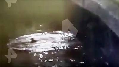 Момент падения девушки в реку в Петербурге попал на видео