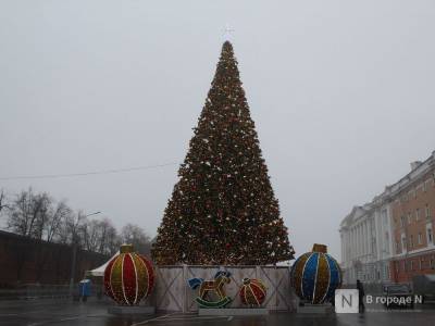 Главную нижегородскую новогоднюю елку снова поменяют