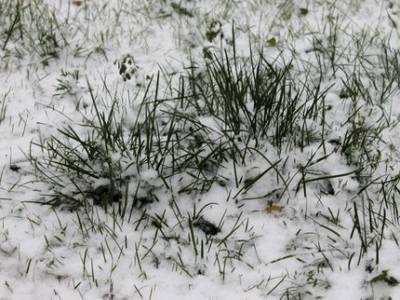 В Башкирии похолодает до -10 градусов и установится временный снежный покров