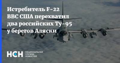 Истребитель F-22 ВВС США перехватил два российских Ту-95 у берегов Аляски