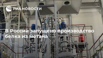 В России запущено производство белка из метана