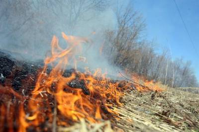 В регионе началась подготовка к пожароопасному периоду в лесах на 2021 год