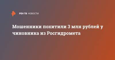 Мошенники похитили 3 млн рублей у чиновника из Росгидромета - ren.tv
