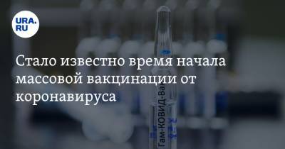 Владимир Путин - Стало известно время начала массовой вакцинации от коронавируса - ura.news - Россия