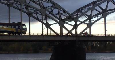 ВИДЕО: В Риге по железнодорожному мосту прогуливается лось