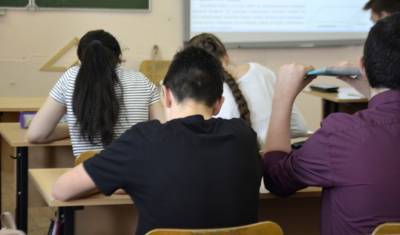 Тюменских школьников не будут переводить на дистанционное обучение