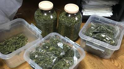 Двое минчан хранили более 3 кг марихуаны дома и в офисе