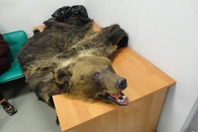 Татарстанские таможенники не дали вывезти в Турцию шкуру медведя