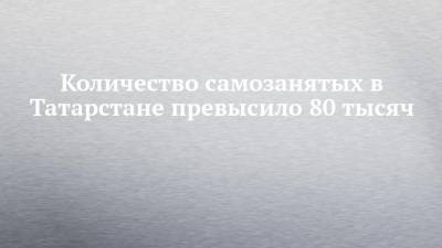 Количество самозанятых в Татарстане превысило 80 тысяч