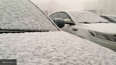 Москвичи увидели первый в этом сезоне снегопад