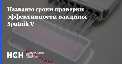 На пресс-конференции НСН назвали сроки проверки эффективности вакцины Sputnik V
