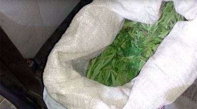 В Оршанском районе у двух местных жителей нашли почти 1,5 кг марихуаны