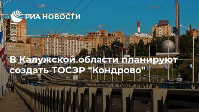 В Калужской области планируют создать ТОСЭР "Кондрово"