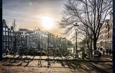 Амстердам защитит мосты от велосипедистов цветами - argumenti.ru - Амстердам