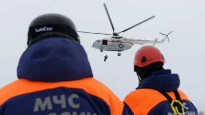 МЧС проверяет данные о падении вертолёта в Татарстане