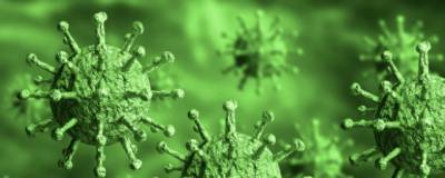 В Воронежской области обнаружен еще 241 заразившийся коронавирусом