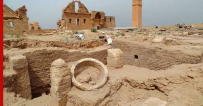 Археологи открыли ворота 900-летнего дворца Харран - profile.ru - Турция - Ирак