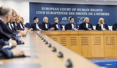 ЕСПЧ присудил 12 задержанным в 2014 году петербургским активистам по 5 тысяч евро